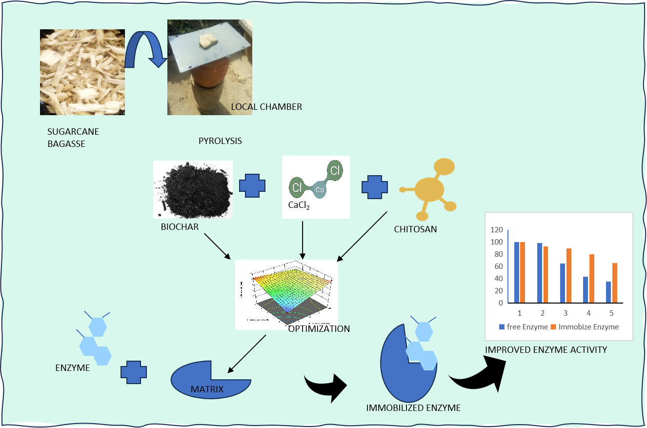 Optimization of Matrix Components for Improved Catalytic Activities of Cellulase Immobilized on Biochar-Chitosan Beads