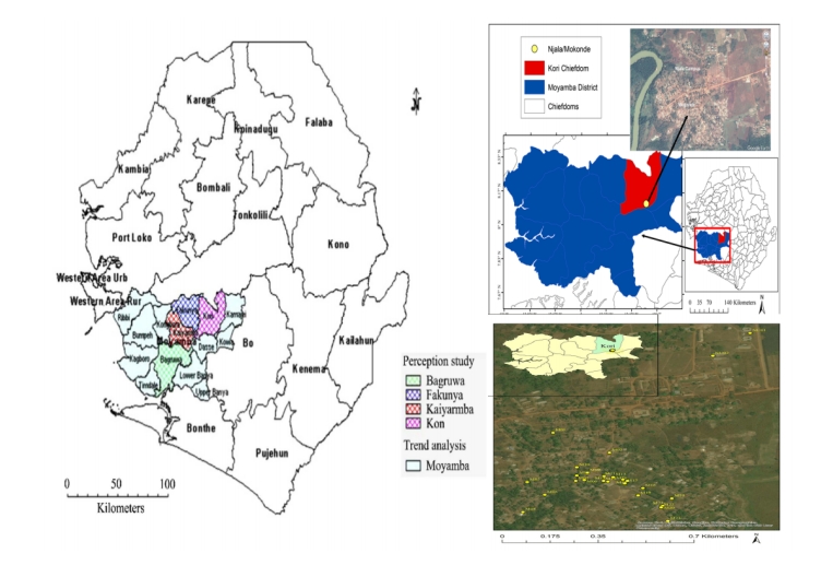 Effects of Agroecological-Based Techniques on Pest, Weed, and Disease Management in Orange-Fleshed Sweet Potato (OFSP)