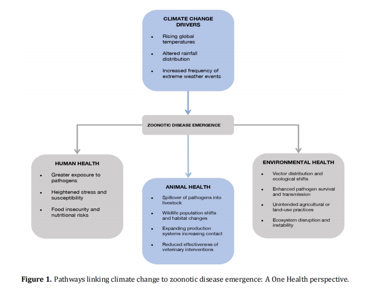 Climate Change, Zoonoses, and Vaccine Equity: A One Health Framework