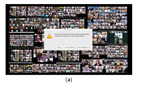 Fragile Interfaces: Electronic Literature and the Poetics of Vulnerability