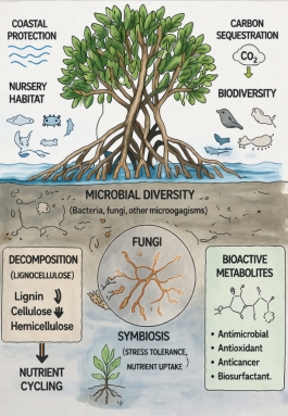 Ecological Adaptations, Functional Traits, and Biotechnological Potential of Mangrove-Associated Fungi for Sustainable Materials under Climate Change