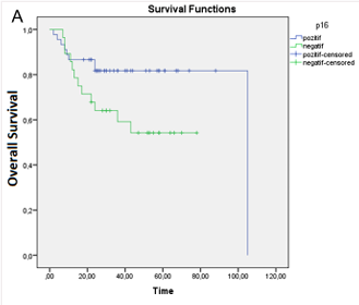 Prognostic Value of Programmed Death Ligand-1 and Human Papilloma Virus Expression in Head and Neck Squamous Cell Carcinoma