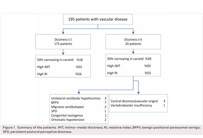 Differential Diagnosis of Dizziness in Patients Who Had Carotid Vertebral Artery Doppler for Arterial System Diseases