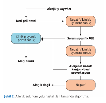 Diagnostic tools for allergic rhinitis and asthma