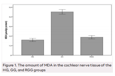 Effect of Rutin on Gentamicin-Induced Ototoxicity in Rats: A Biochemical and Histopathological Examination