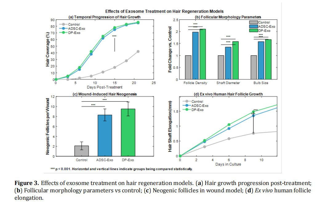 Exosome-Mediated Immunomodulation in Hair Regeneration: From Bench to Bedside
