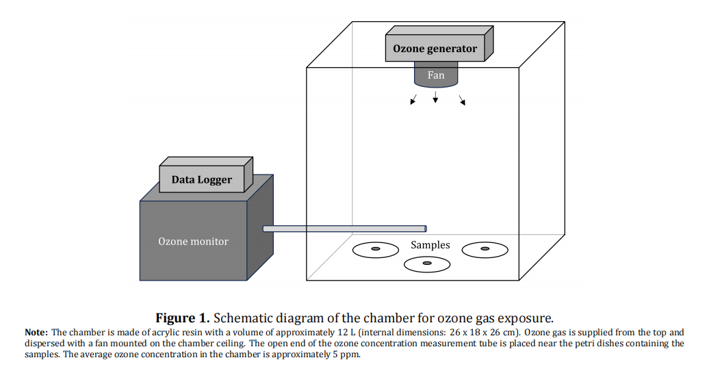 Inactivation of Indoor Environmental Allergy-Related Substances by Ozone Gas in a Small Chamber