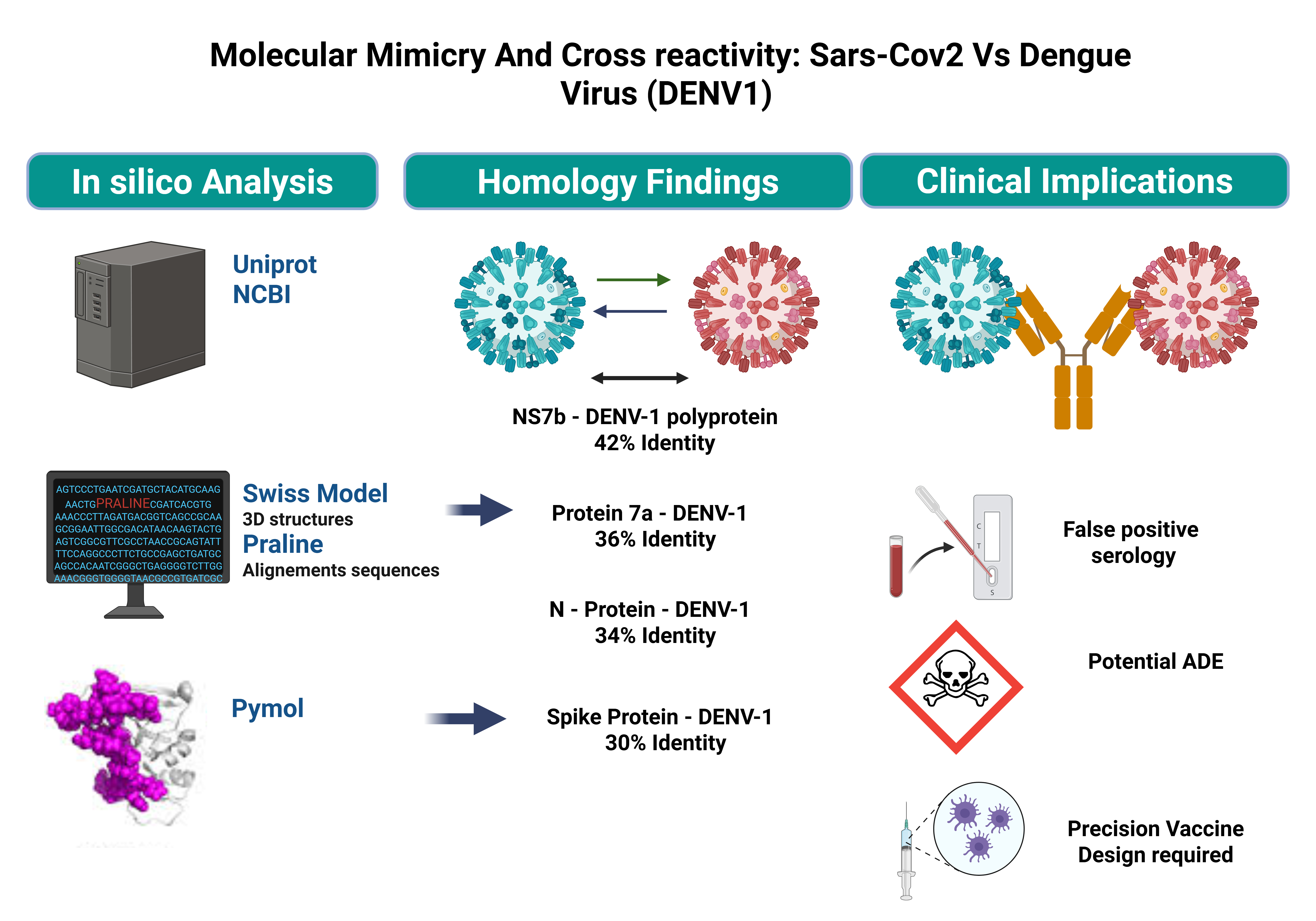 Analysis of Molecular Mimicry between Antigens of the SARS-CoV-2 and Dengue Viruses: Implications for Cross-Reactivity