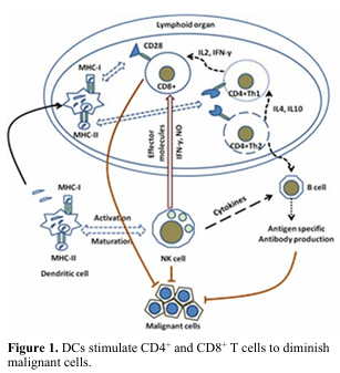 Revolutionizing cancer treatment by boosting dendritic cell vaccine efficacy with graphene oxide