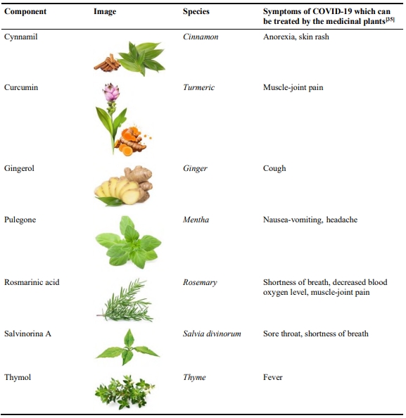Characterizing the structural and physicochemical properties of medicinal plants as a proposal for treating of viral malady