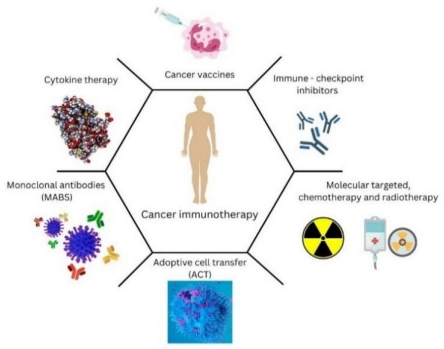 Immunotherapy in cancer: Where we are and what the future brings?