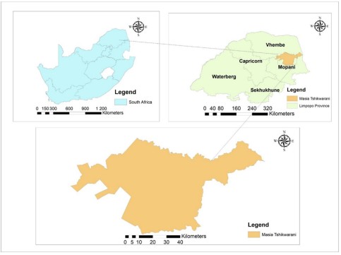 Determination of Heavy Metal Concentration in Borehole Water and Mineral Composition, and Radionuclides in Sediments from Ha-Masia Tshikwarani Village