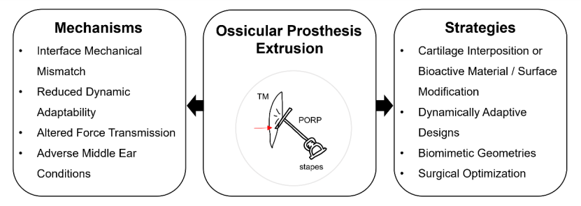 Mechanisms and Prevention Strategies of Prosthesis Extrusion in Ossicular Chain Reconstruction